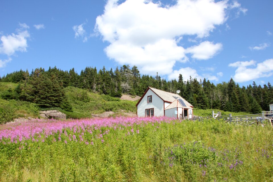 Landscape canada gaspesie