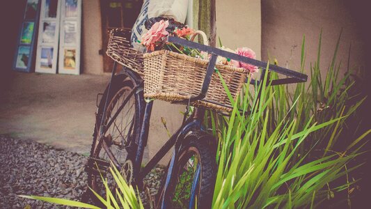 Vintage bicycle basket vintage