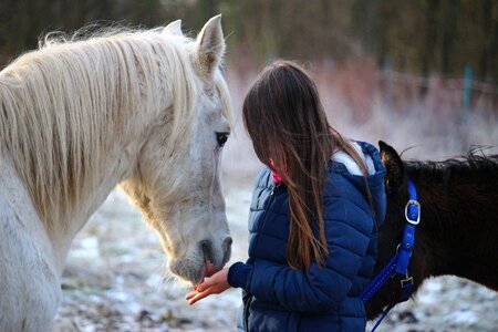 Friendship girl winter