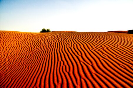 Desert landscape travel sand