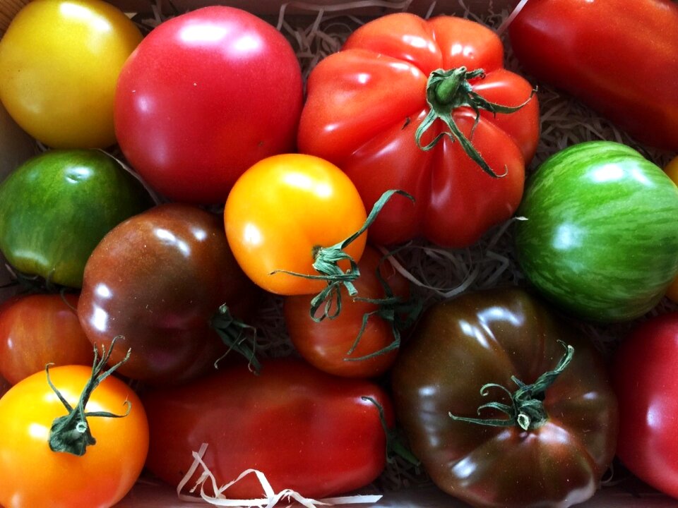 Food healthy eat