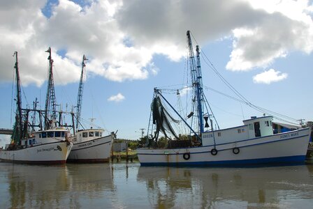 Commercial fishing business industry fishing photo