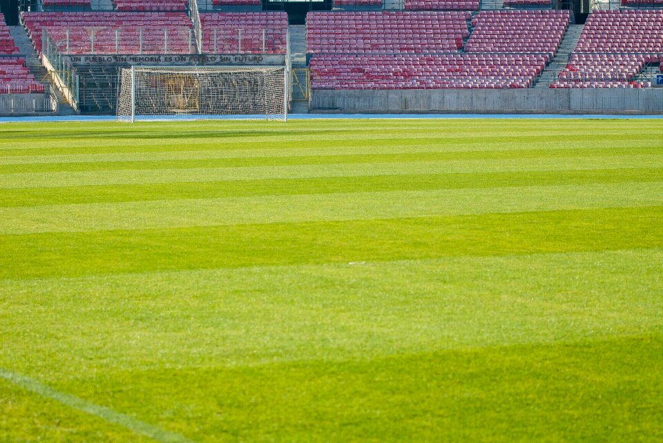 Lawn sports football stadium