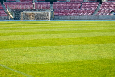Lawn sports football stadium