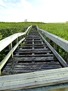 Dilapidated wood wooden