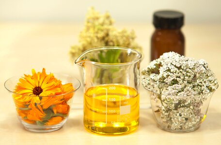 Yarrow calendula officinalis pot marigold