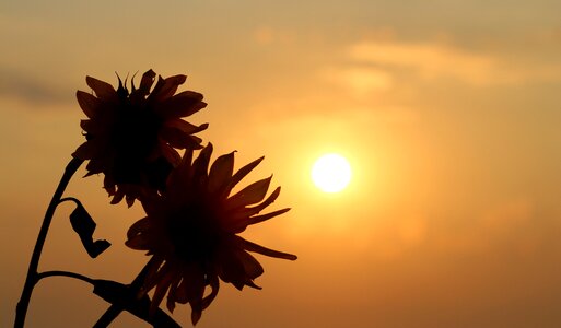 East sun morning