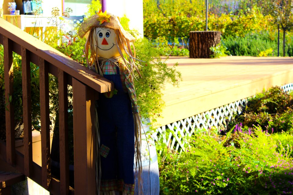 Decor beautiful autumn