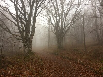 War autumn fog