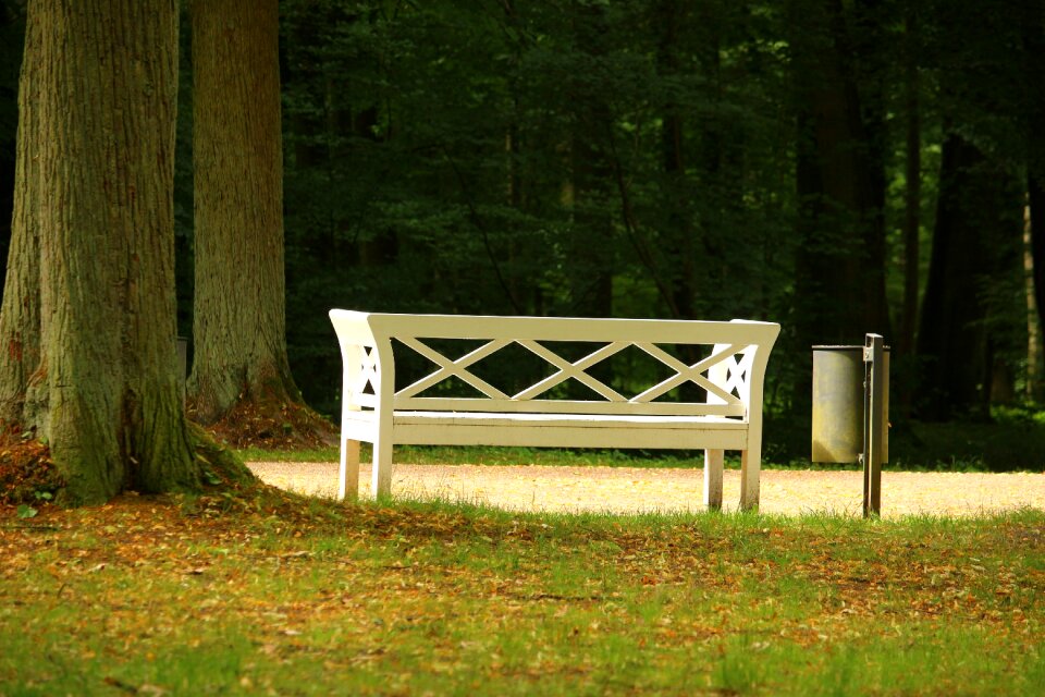 Ludwigslust-parchim park schlossgarten