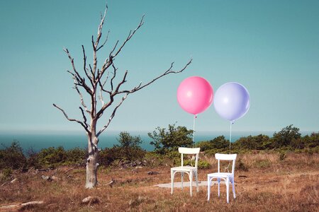 Two balloons tree