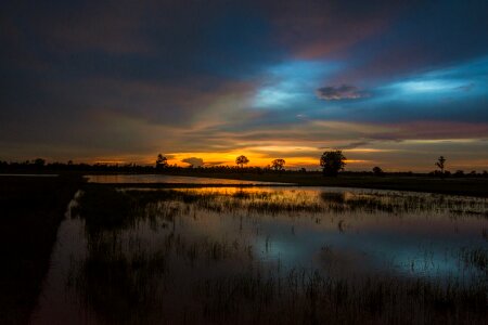 Rice countryside myanmar burma photo