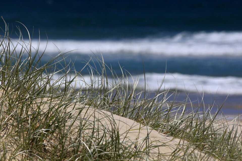 Beach summer Free photos