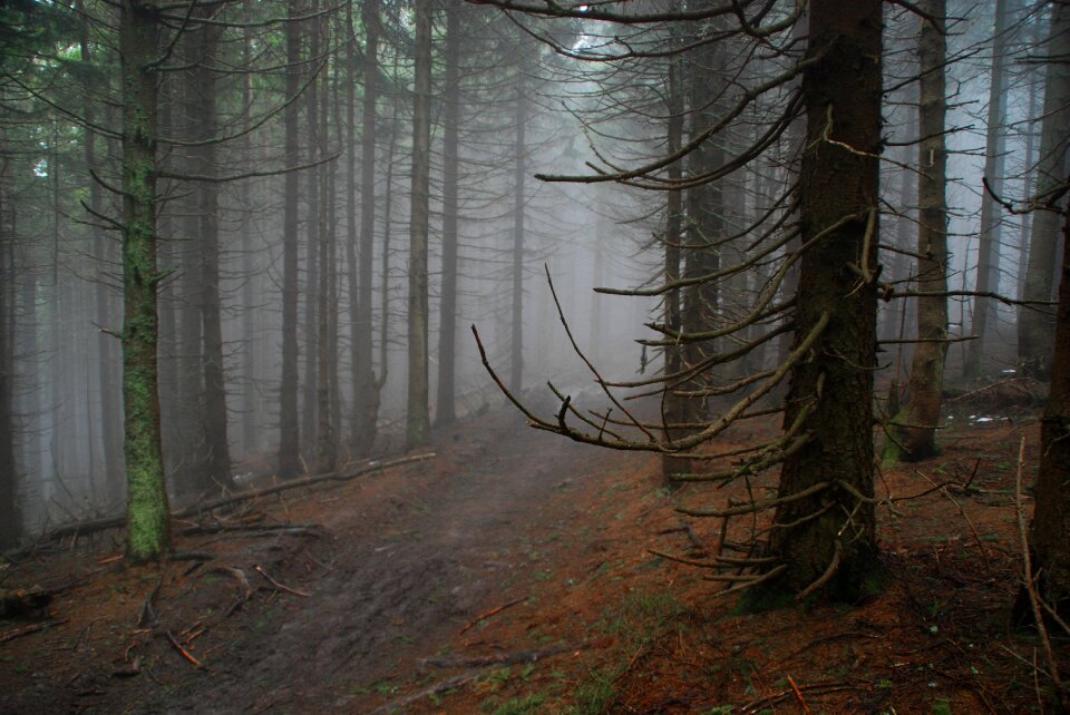 Konary beskids way photo