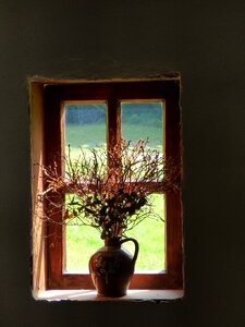 Country side vase dry flowers photo