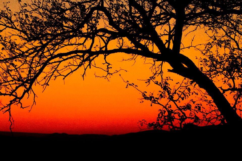 Sun set africa silhouette photo
