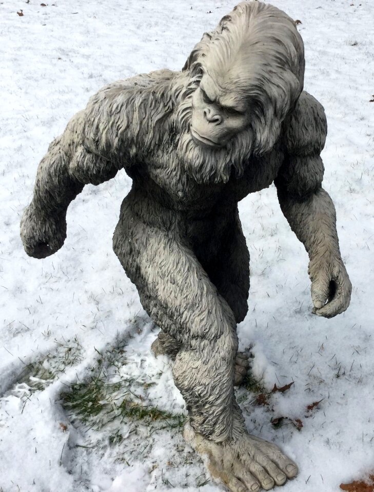 Abominable snowman skunk ape almas
