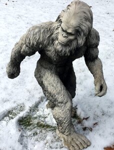 Abominable snowman skunk ape almas