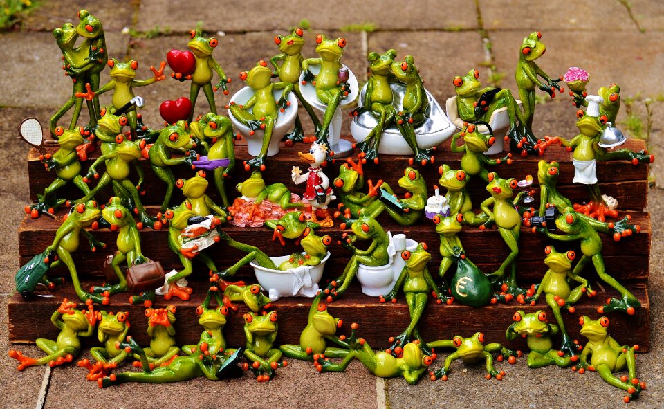Frog assembly cute collection