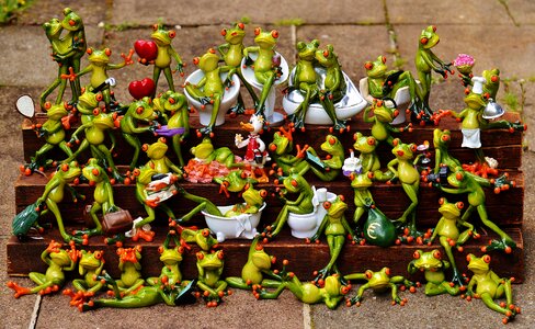 Frog assembly cute collection