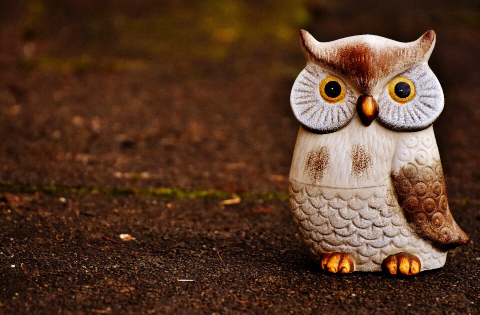 Ceramic animal cute