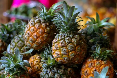 Pineapple market fruit