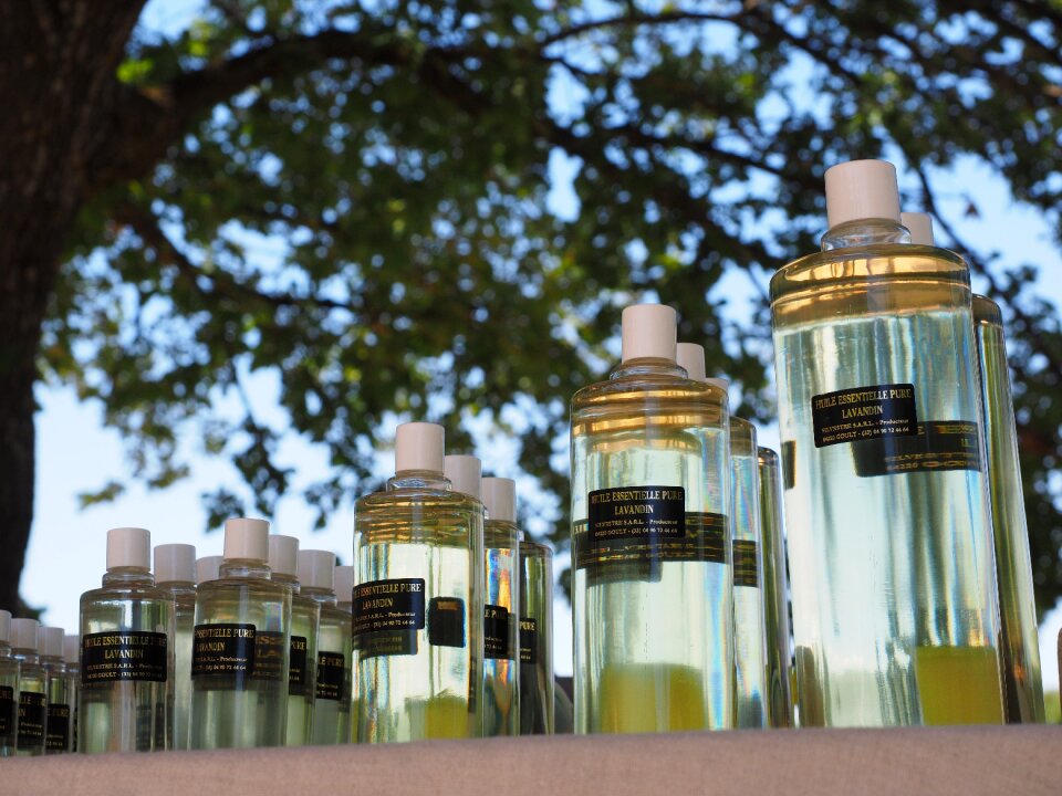 Lavender lavender sale perfume