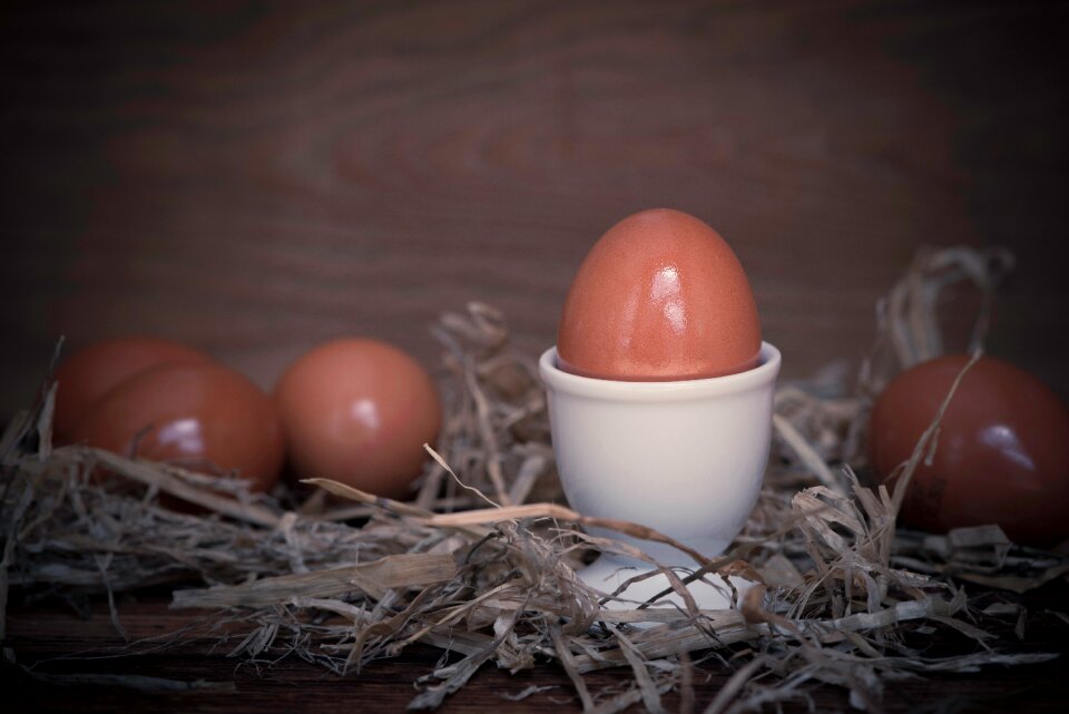 Nutrition eat eggshell