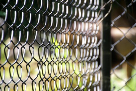 Cage caged zoo