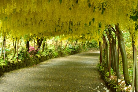 Wales colored pathway