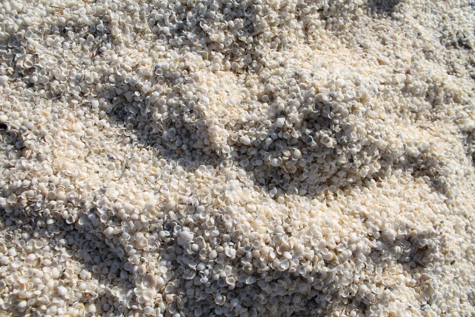 Beach australia western australia