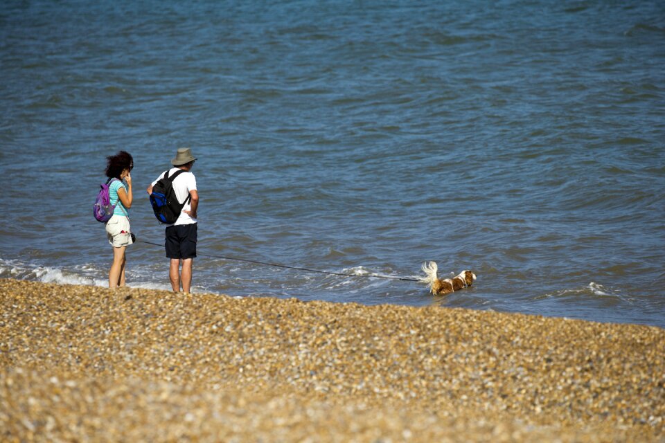People summer dog swimming