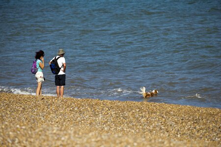 People summer dog swimming