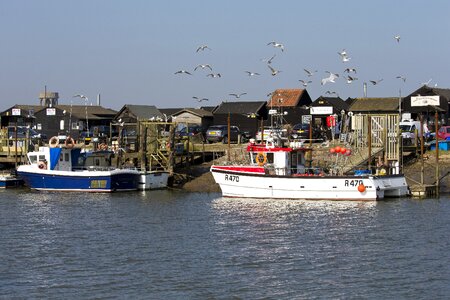 Seabirds black timber sheds café