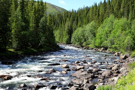 Watercourse beautiful mountain stream photo