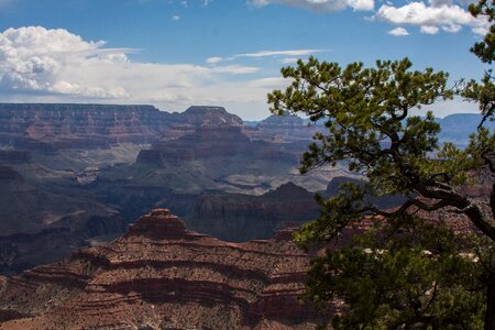 Canyon vista scenic