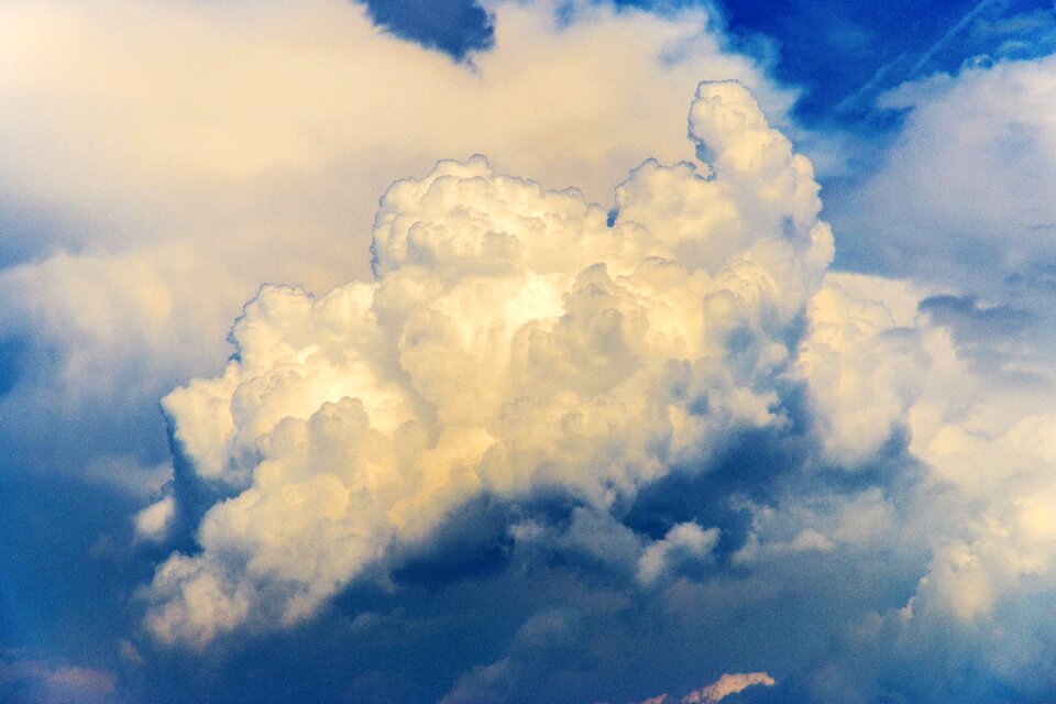 Blue yellow nature