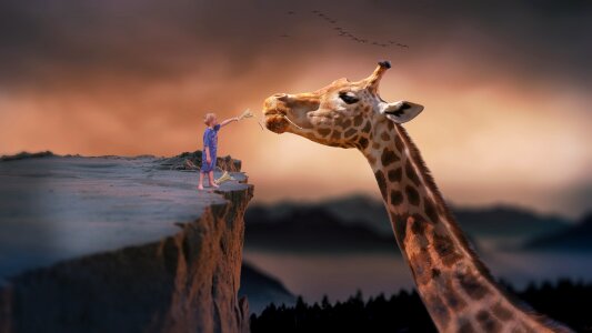 Dream fantasy feeding