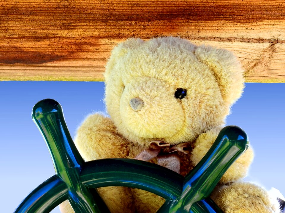 Stuffed animal bears stuffed animals