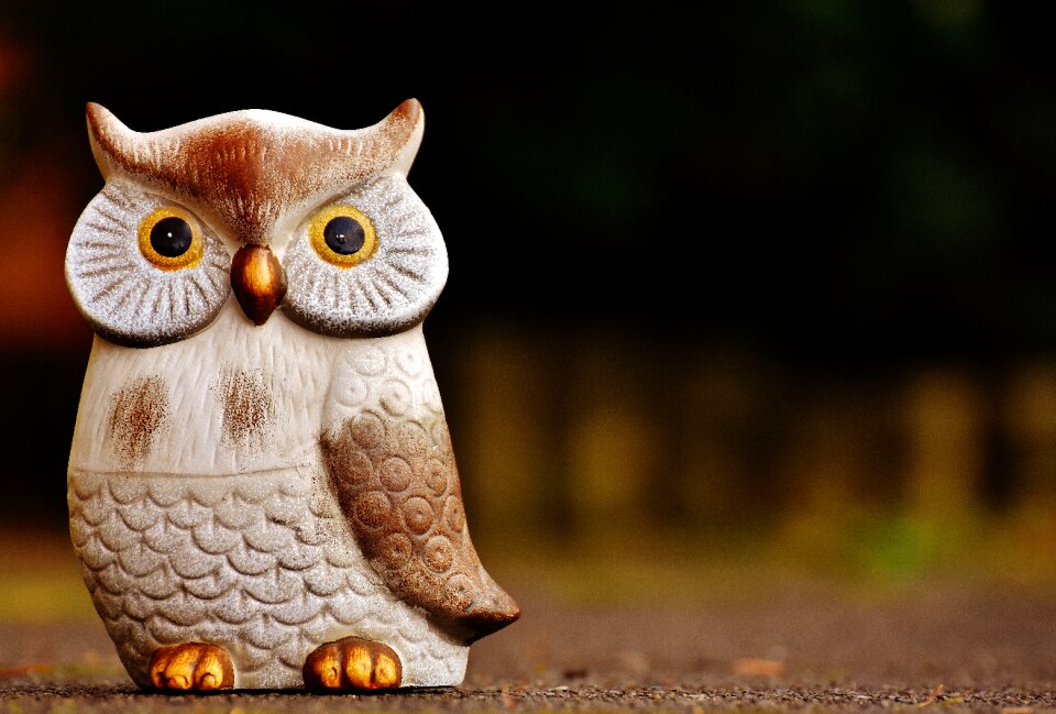 Ceramic animal cute