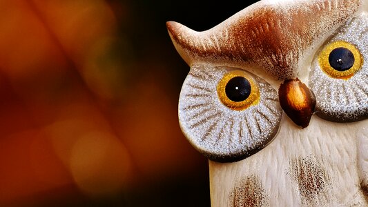 Ceramic animal cute