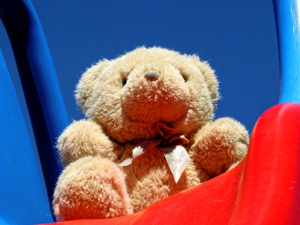 Stuffed animal bears stuffed animals