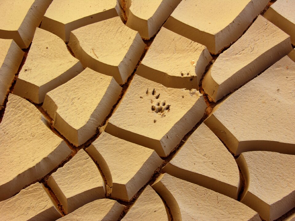 Cracked earth dry pedro nunes