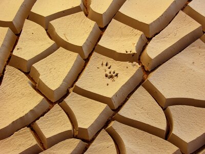 Cracked earth dry pedro nunes