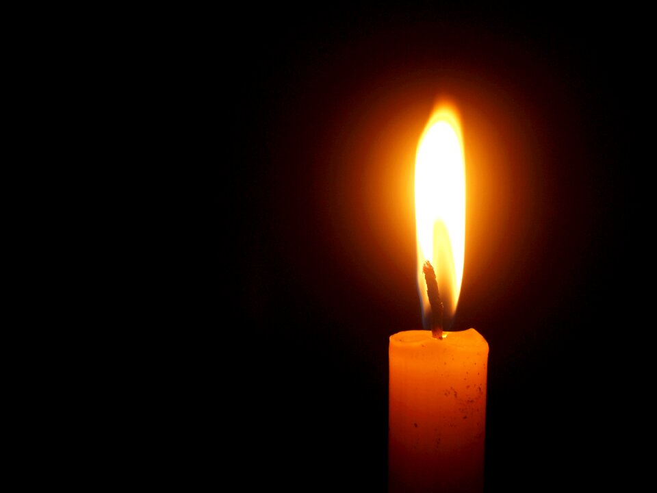 Isolated wax praying