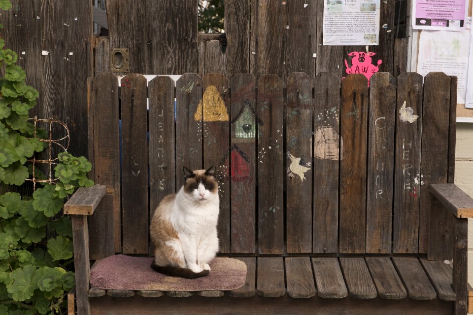 Looking cute sitting