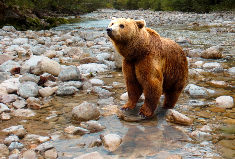 Dangerous water stones