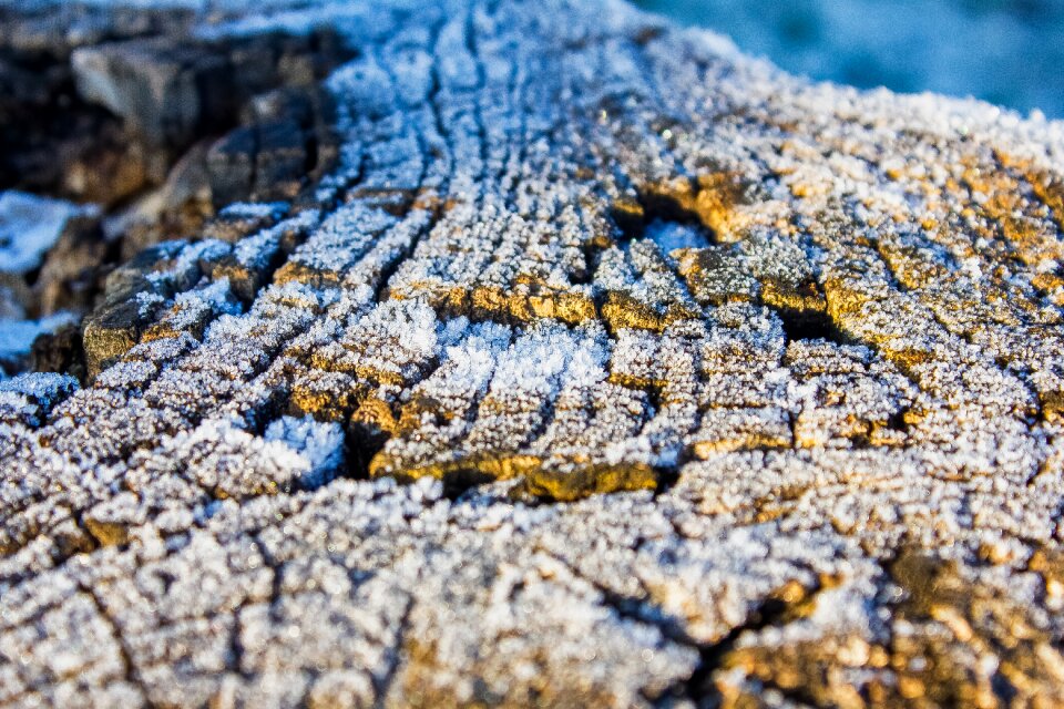Winter ice frosty