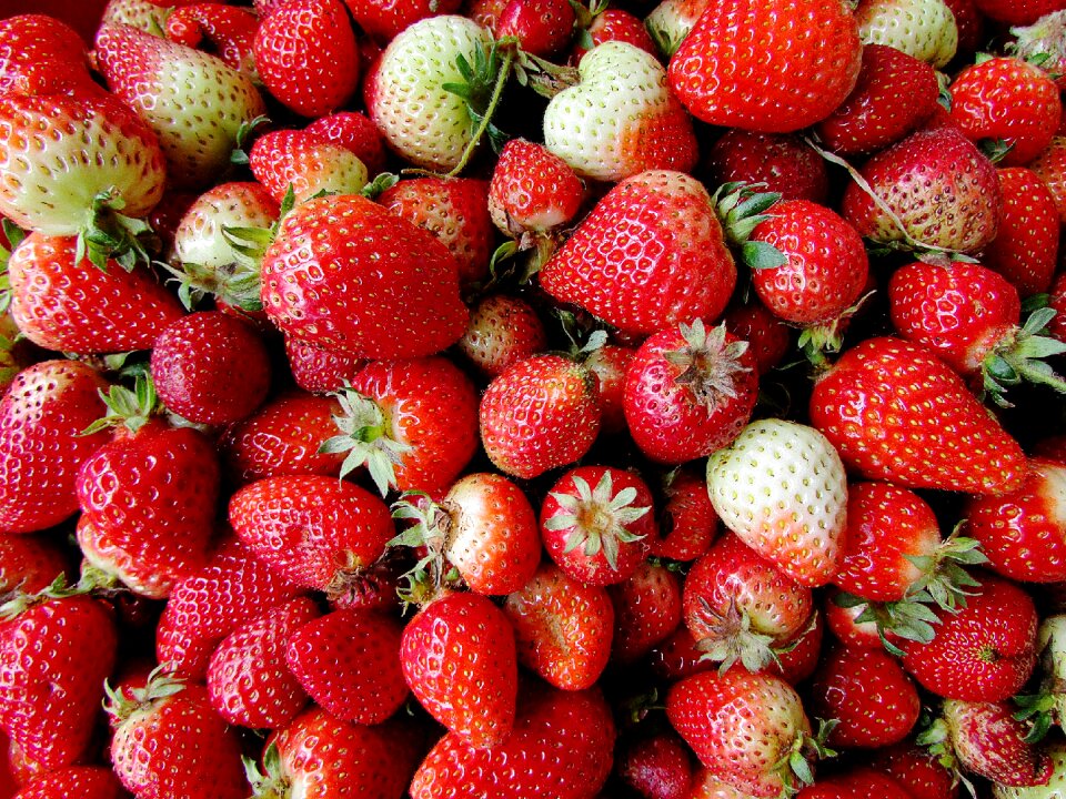 Strawberries fruit red