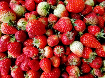 Strawberries fruit red